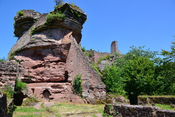 Pf&auml;lzer Wald_009
