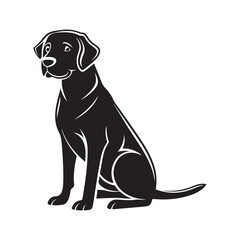 Fototapeta premium Black dog sitting attentively labrador animal