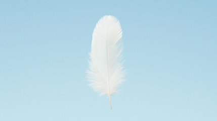 White feather floating in the air, blue background. Feathered Freedom, Graceful Fall. 