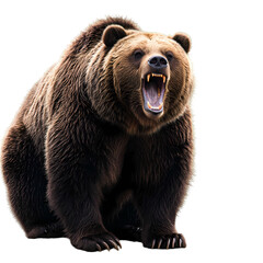 Obraz premium Grizzlys Roar A Powerful Portrait isolated on transparent background