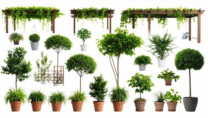 Diverse garden plants and structures