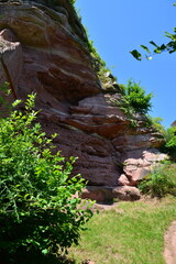 Pf&auml;lzer Wald_022
