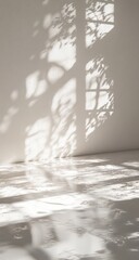 Light and shadow play on a pale wall