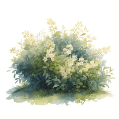 Delicate watercolor painting of a lush green bush with clusters of small white flowers