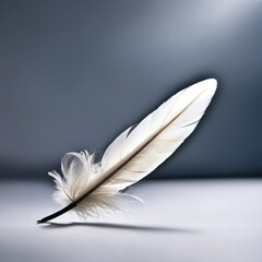 A Single Delicate White Feather Gently Rests on a Smooth Surface