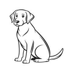Fototapeta premium Labrador Retriever Sitting Calmly animal