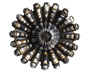 Top View 3D Illustration of Single Large Barnacle with Open Cirri, isolated on transparent background PNG 