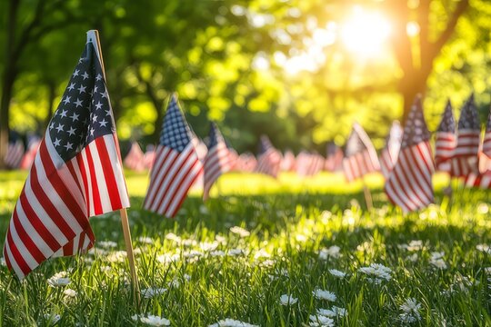 Small American flags placed in a grassy field, bathed in sunlight, commemorating a patriotic event.