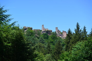 Pf&auml;lzer Wald_015
