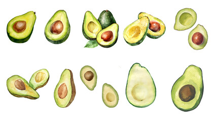 vector illustration of a avocado in watercolor style