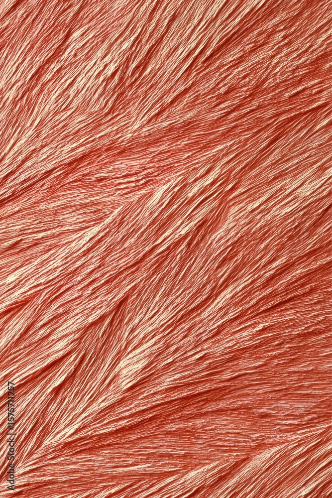 Poster abstract close-up of peach-colored texture with fine, detailed line patterns
