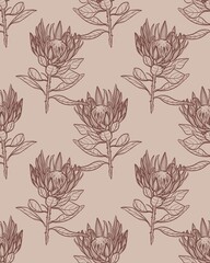 Seamless pattern a protea flower. Hand drawn linear illustration in brown ink on a beige background. Perfect for floral prints, packaging, fabric, wallpaper