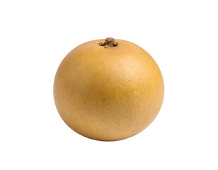 Fototapeta premium Single sapodilla fruit on black backdrop