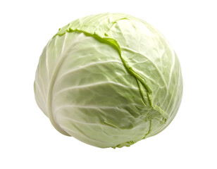 Studio shot of a green cabbage