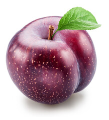 Ripe chinese plum with green leaf isolated on white background. File contains clipping path.