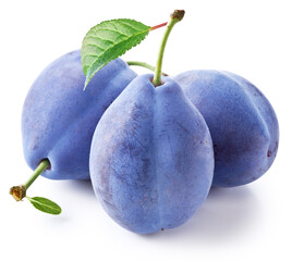 Three prune plums with green leaf on white background. File contains clipping paths.