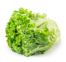 Wavy ruffled leaves of Batavia lettuce on white background. File contains clipping path.