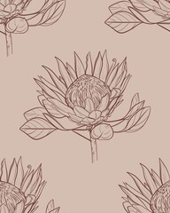 Seamless pattern a protea flower. Hand drawn linear illustration in brown ink on a beige background. Perfect for floral prints, packaging, fabric, wallpaper