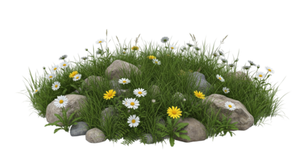Wildflowers and Rocks in Vibrant Grassy Meadow