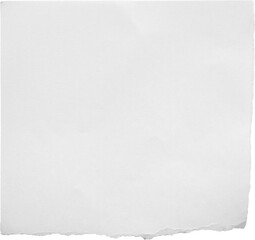 White ripped paper torn edges strips isolated on black background