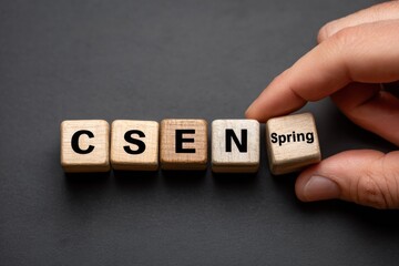 Wooden Blocks Spelling CSEN, With Hand Placing Spring Block, Symbolizing Special Education Needs and Support, Representing Learning and Inclusion : Generative AI
