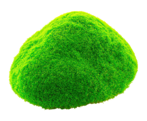 Bright green mossy hillock on png transparent background presents natural texture