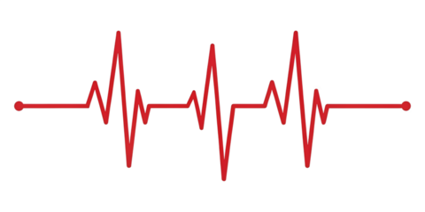 Heartbeat Pulse Line Vector: Medical EKG Icon