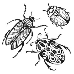 insects vector illustration