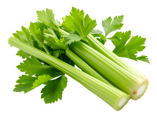 Fresh green celery on a black background