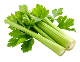 Fresh green celery on a black background