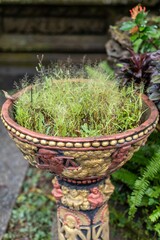 Ornate Balinese flower pot with grass and weeds growing inside. The pot is decorated with carvings...
