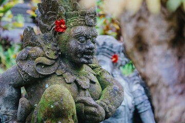 Moss covered stone statues with red hibiscus flowers placed on their heads, stand guard in a garden...