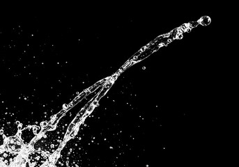 Water Splash, Perfect for Design Projects on white background