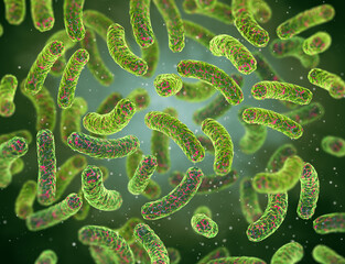 Medical education, pathogenic bacteria salmonella, enterobacteria, rod-shaped, disease affecting the intestinal tract, 3d rendering