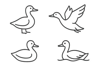 Various duck illustrations showcasing different poses and actions in a simple style
