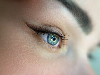 permanent eyeliner makeup close up. Healthy and clean skin young woman A close-up of a human eye.  The iris is a rich  color, with highlights that create a reflective quality.  Long, dark eyelashes