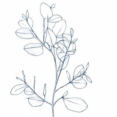 Fototapeta premium Minimalistic line art of Botanical wall art