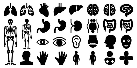 Obraz premium Human Anatomy Glyph Set with Silhouette Icons of Bones, Organs, Eye, Ear, Nose, Lips, Hands, Feet, Stomach, Kidneys, and Bladder in Vector Format.