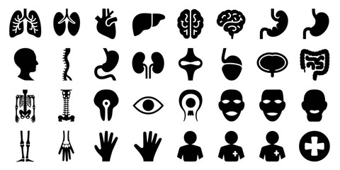 Anatomy Glyph Icon Set Featuring Body Organs, Skeleton, Spine, Eye, Ear, Nose, Mouth, Hands, Feet, and Internal Systems in Bold Black Silhouette Style.

