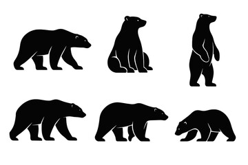 Different poses and silhouettes of bears displayed in a minimalist design showcase their physical features and movements