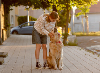 Happy Girl Petting Golden Retriever Dog Outside