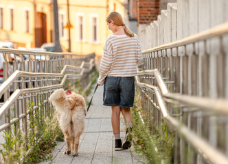 Girl Walking Down Street With Golden Retriever Dog In Summer At Sunset Viewed From Behind