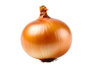 Single yellow onion isolated on black