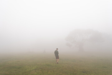 Man walking through dense fog on meadow