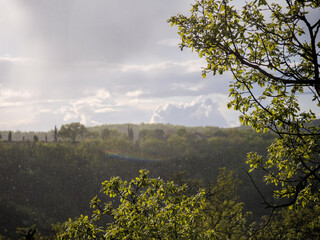 Refreshing Rain Over Lush Landscape for Environmental Themes