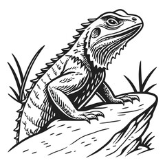 Intricate Line Art Regal Iguana Perched on Rock Serene Tropical Mood Black and White Illustration