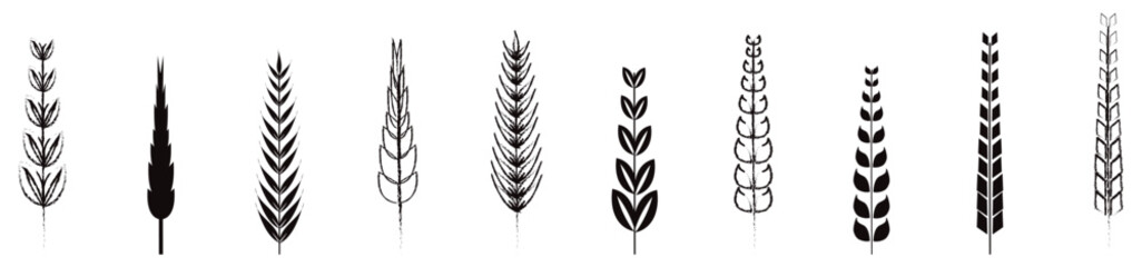 Wheat silhouette collection. Ear of wheat symbols. Wheat icon vector illustration. 