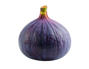 Single fresh fig on dark background