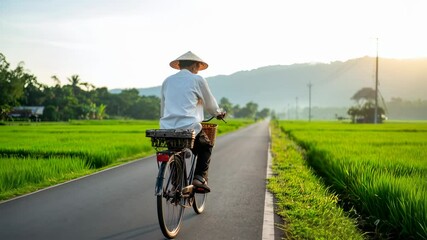 Elderly Asian Man on Bicycle with Rice Field, Sun, Road, and Vietnam. - Powered by Adobe