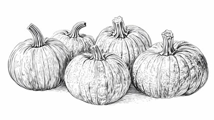 Detailed illustration of pumpkins arranged in a group.
